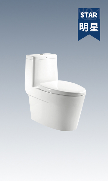 HC0136DT超旋風(fēng)節(jié)水坐便器